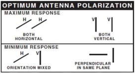 antennapolarisation.jpg