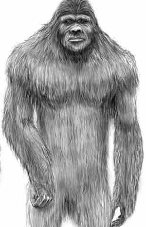 gigantopithecus.jpg